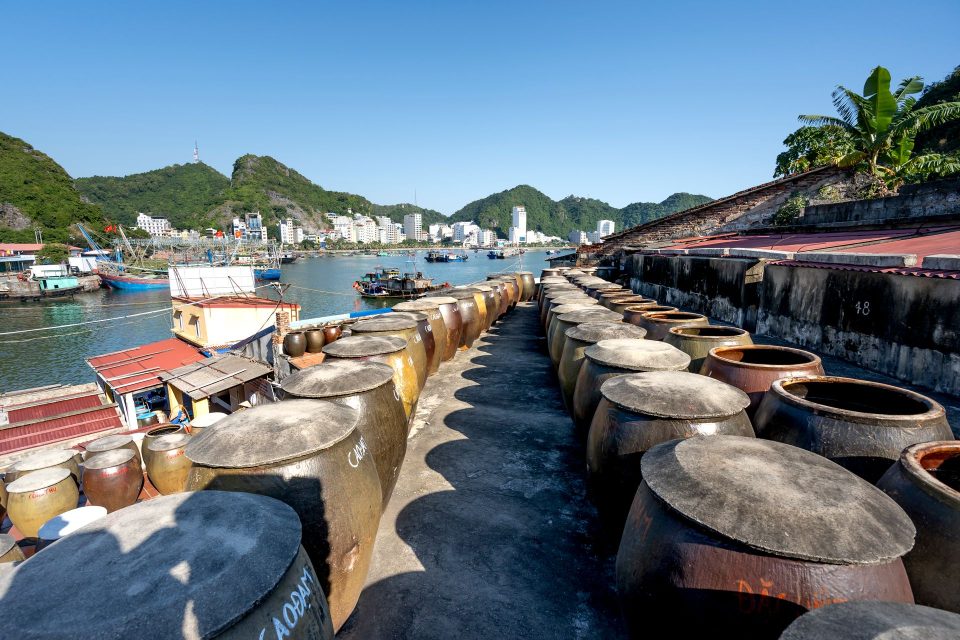View of Cat Ba Island harbor with barrels and boats under a clear sky.