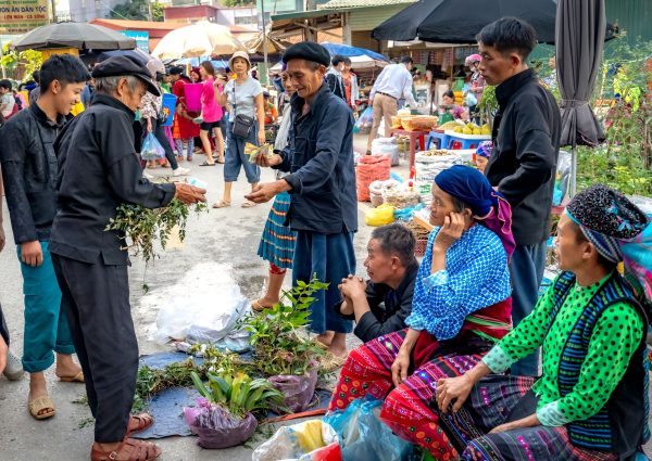 Vibrant scene of local vendors selling plants in a bustling market.