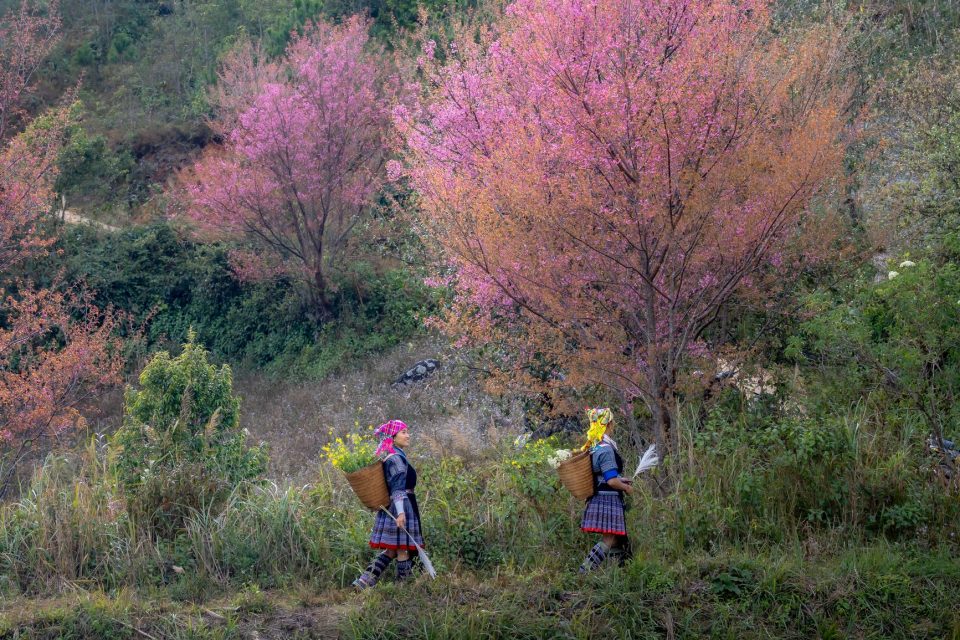 Two ethnic women carrying baskets of flowers walk through a scenic area with cherry blossom trees.