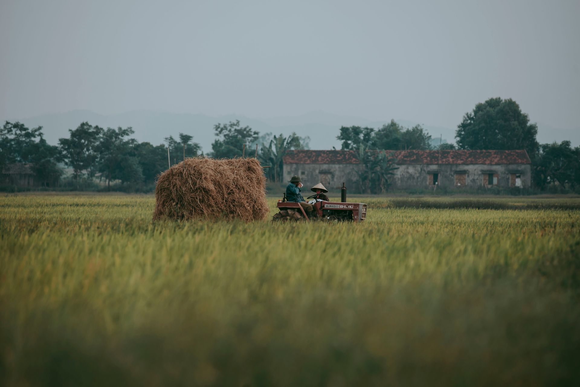 Two farmers on a tractor in a rice field with a haystack, Vietnam landscape.