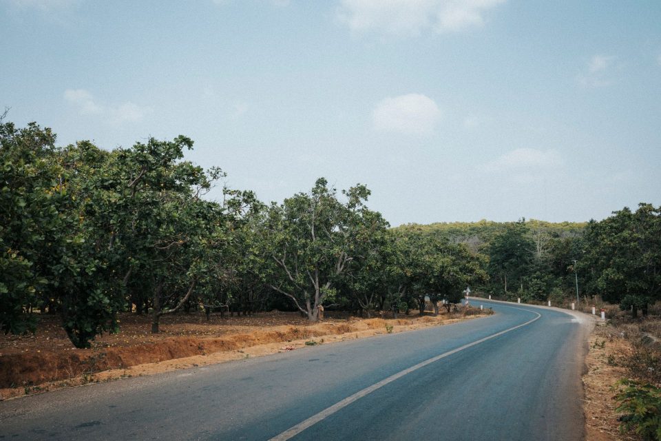 A serene road winding through lush green trees under a clear blue sky in Gia Lai, Vietnam.