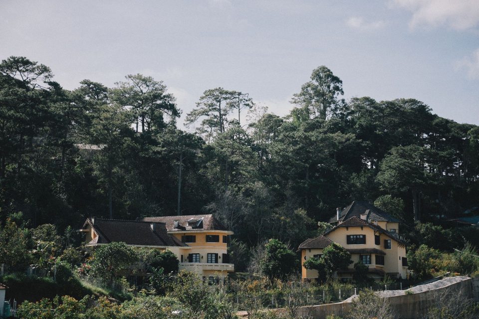 Rustic houses surrounded by lush trees, perfect for a tranquil summer retreat.