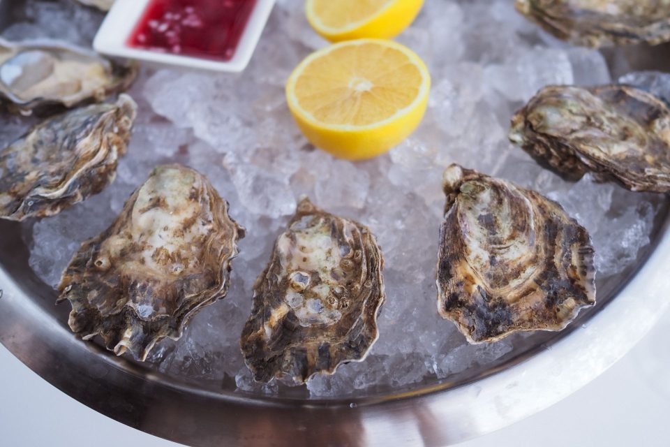 A gourmet seafood platter of fresh oysters served on ice with lemon and sauce.