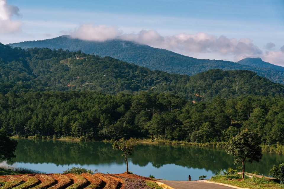 Peaceful view of Xuân Hương Lake surrounded by lush greenery in Đà Lạt, Vietnam.