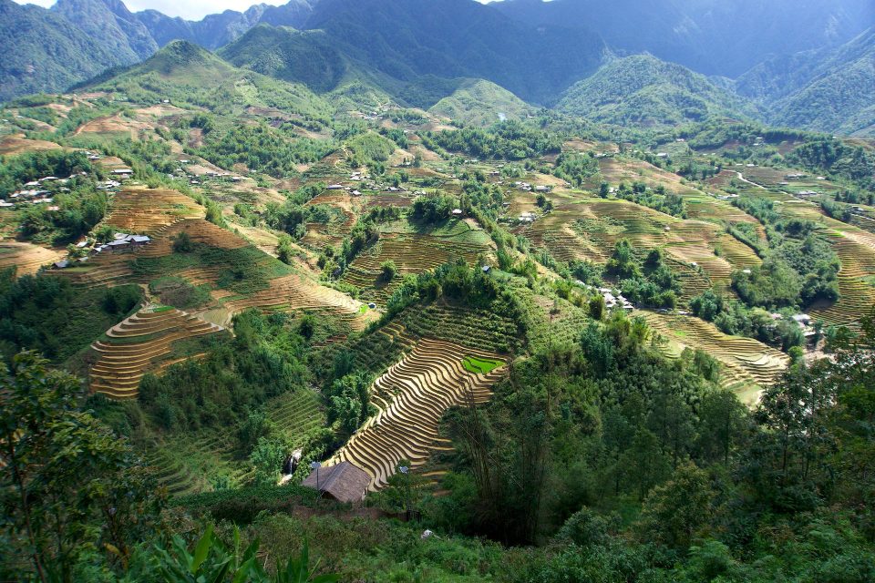 A breathtaking view of rice terraces in Sa Pa, showcasing traditional farming in Vietnam's lush landscape.