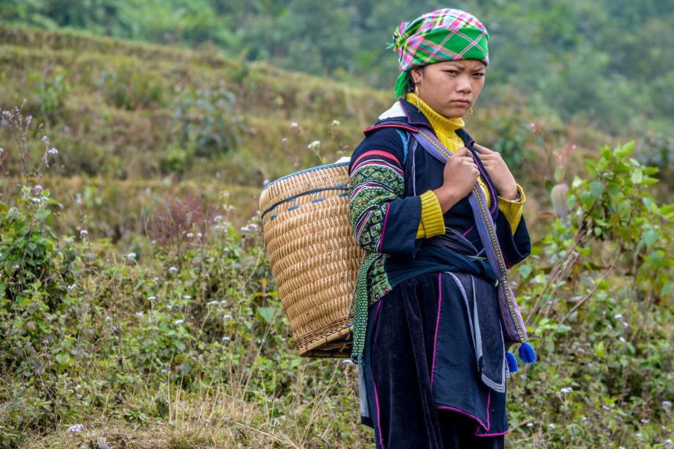 A woman in traditional Vietnamese clothing with a basket in a rural field.